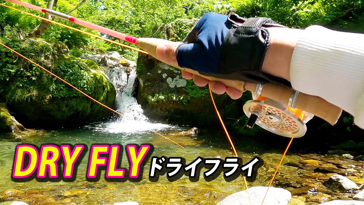 Ловля мелкой форели нахлыстом в небольших ручьях