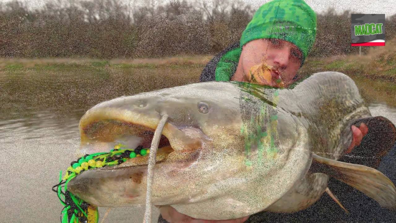 MAD CAT Clonk Teaser