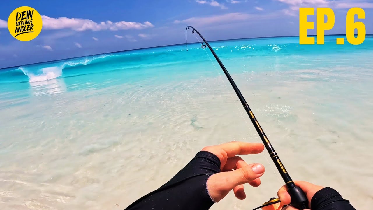 FISCHE FANGEN am sch&ouml;nsten Ort der Welt und DIREKT ESSEN // Seychellen EP. 6