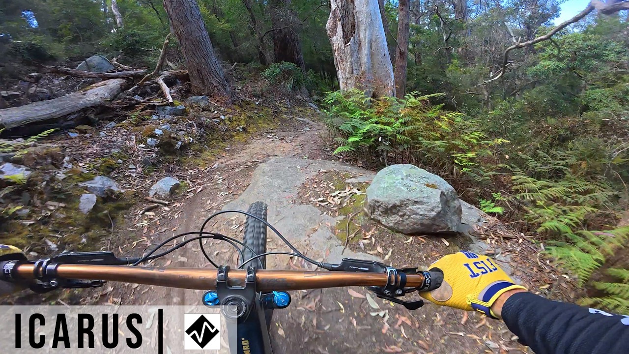 Icarus | RAW Run | St Helens