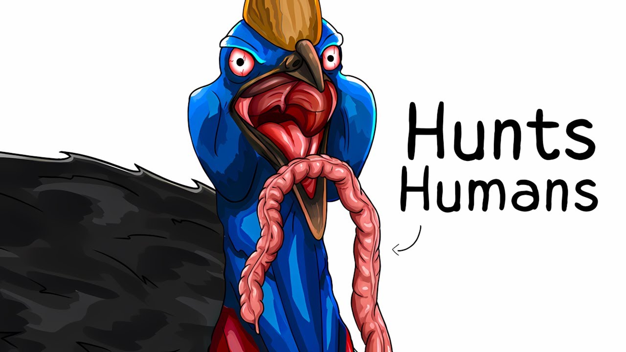Why it Sucks To Be Born As a Cassowary
