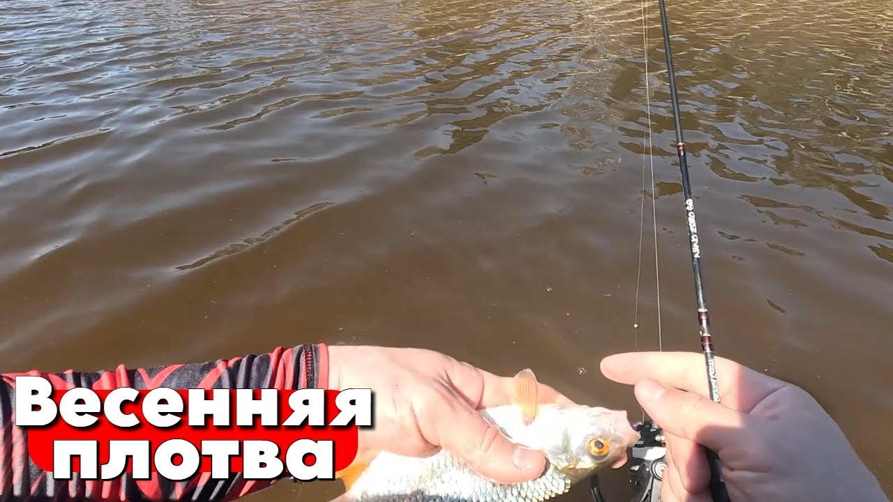 ВЕСЕННИЙ МОРМЫШИНГ! КОГДА ПЛОТВА ВСЁ-ТАКИ НАШЛАСЬ!