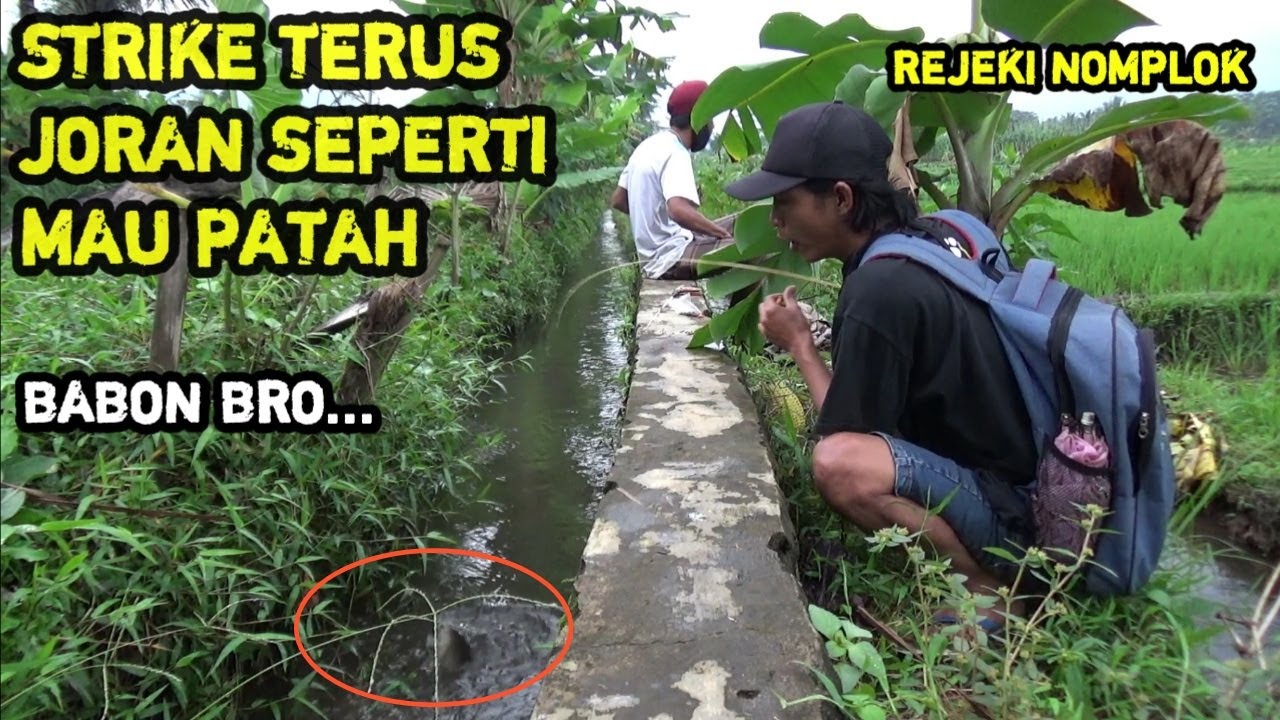 Rejeki Nomplok ! Mancing Pake Joran Bambu Hasilnya Diluar Dugaan