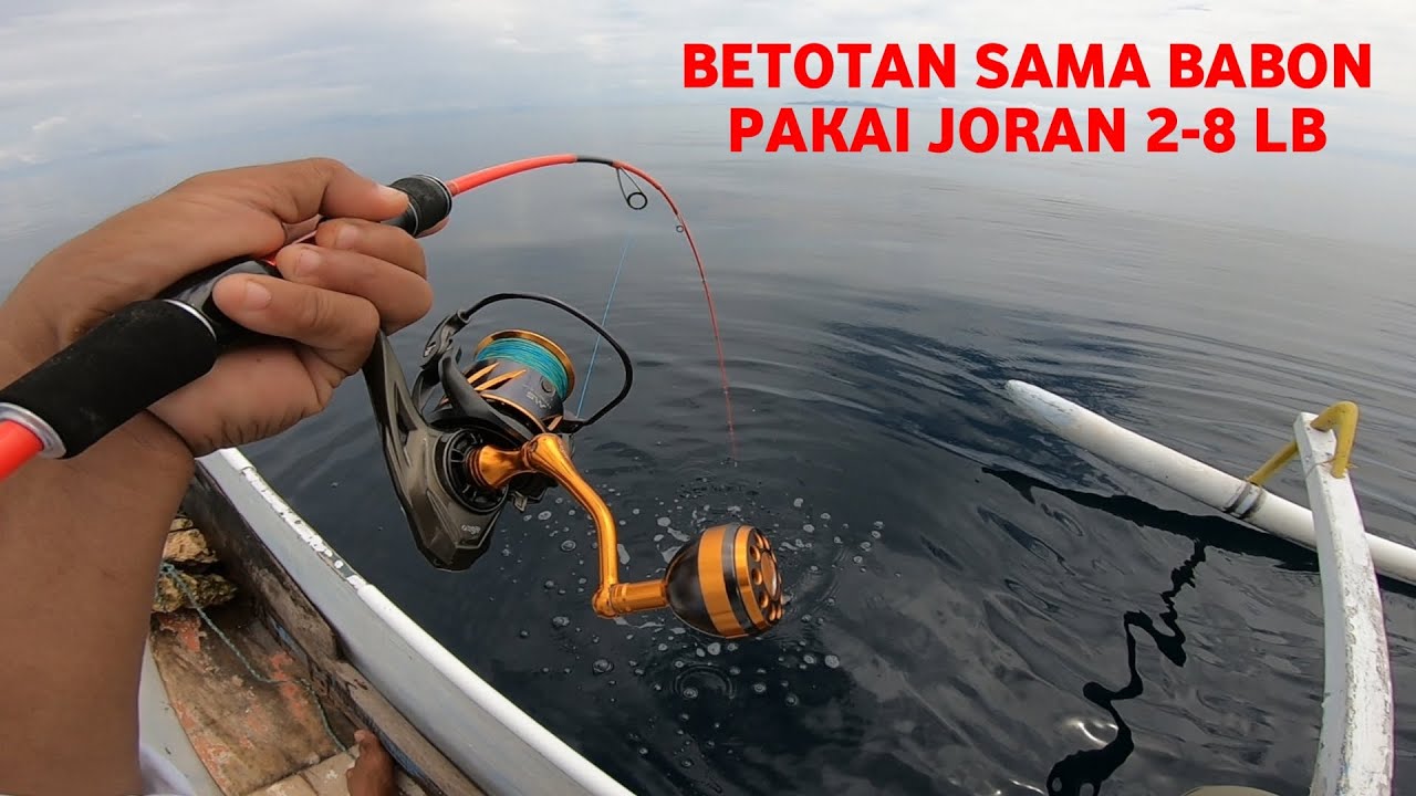 MELENGLKUNG TAJAM - BETOTAN SAMA BABON PAKAI JORAN ULTRALIGHT JIGGING