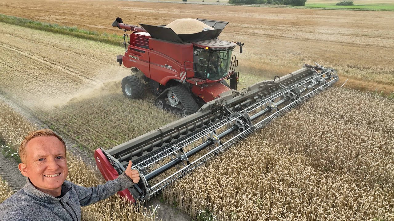 Høsten 2024 - Case IH 9260 Axial-Flow & 50 fods MacDon skærebord høster hvede | Dansk Høst 2024