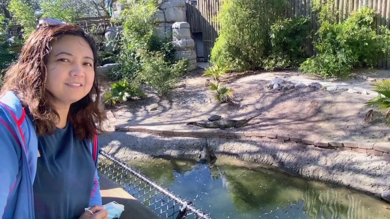Animals and there Habitats at Lowry Park Zoo