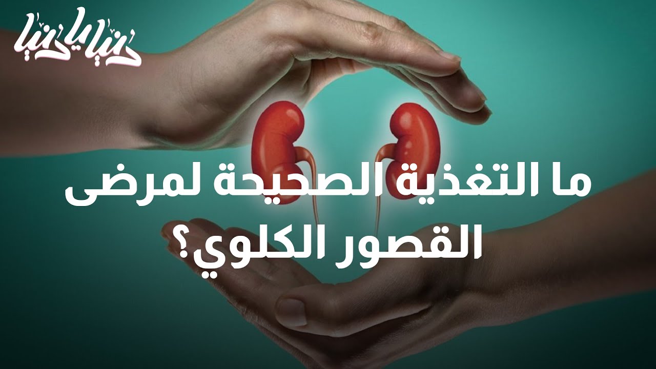 تغذية مرضى القصور الكلوي - دنيا يا دنيا #قصور_الكلى