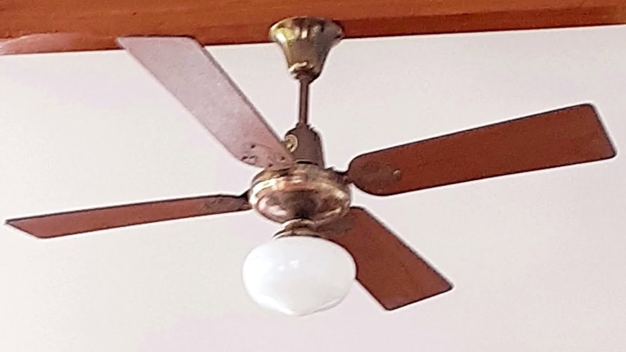 Ceiling fans sightings