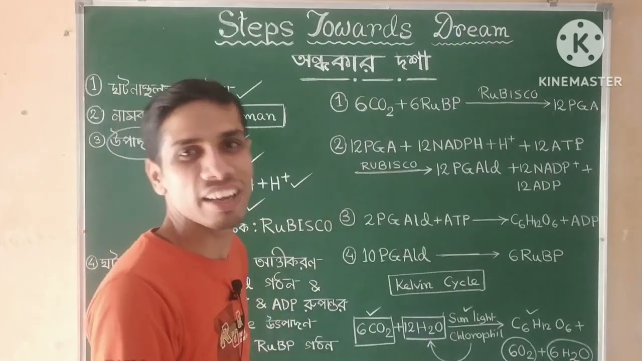 Photosynthesis//Blackman reaction// part :-3 // 100% clear and conceptual video