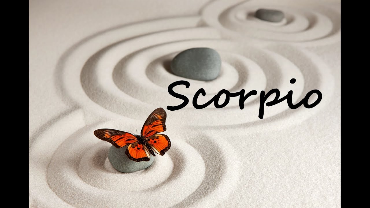 SCORPIO Timeless - SPIRIT wants you to know what's trying to birth into your life