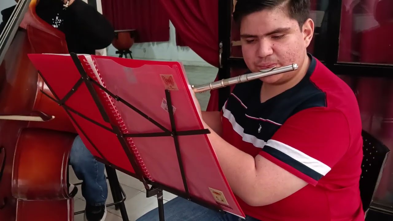 OSEA - ENSAYOS 2026 NUNCA ES SUFICIENTE 