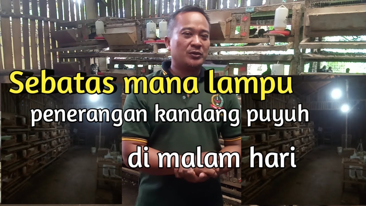 lampu penerangan di malam hari seperti apa ?