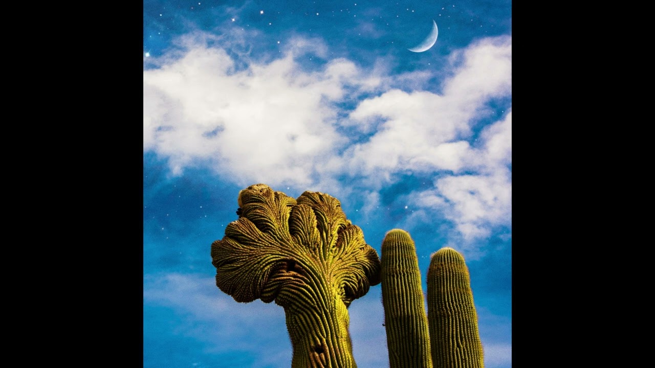 Diespnea (Italy) &mdash; Radici &mdash; 2025 full length