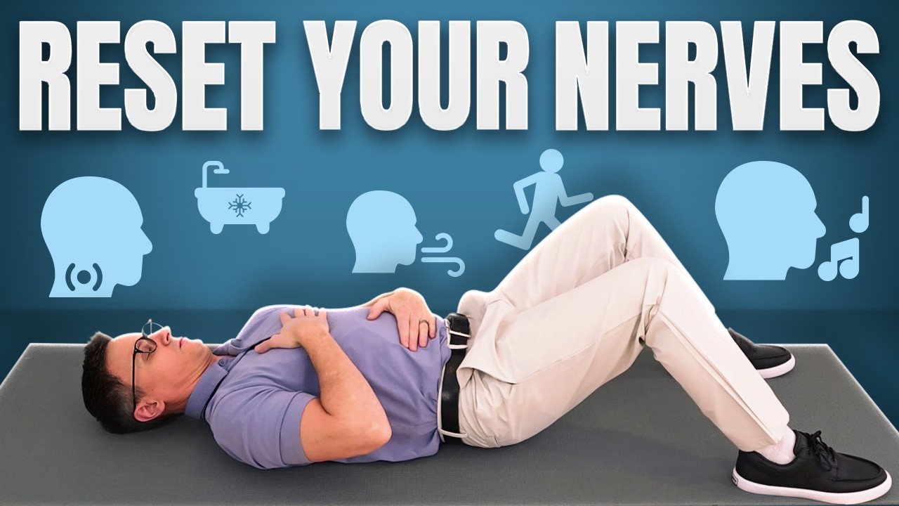 Регуляция нервной системы | 5 эффективных способов воздействия на блуждающий нерв