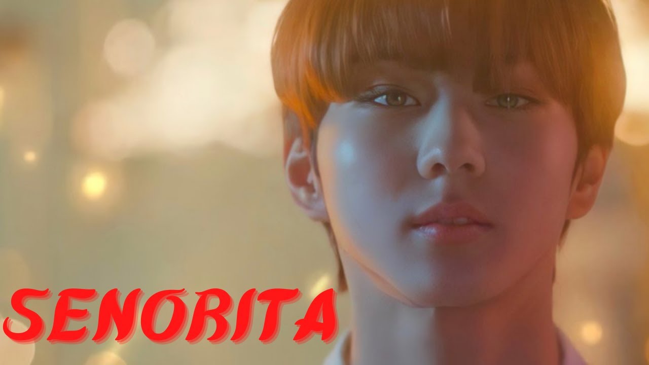 SENORITA [FMV] - || ENHYPEN - Yang Jungwon ||