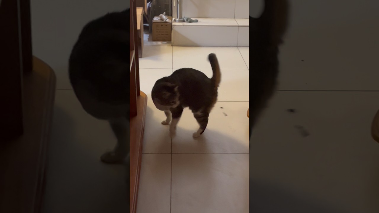 Vainy da vueltas 😆 SIGUE A 