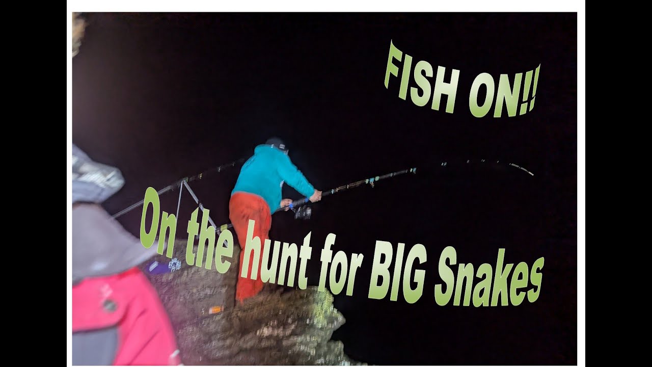 На этом скалистом участке водятся змеи 🐍 Крупные приманки это доказали 🐟🎣 Рыбалка со скал на остр...