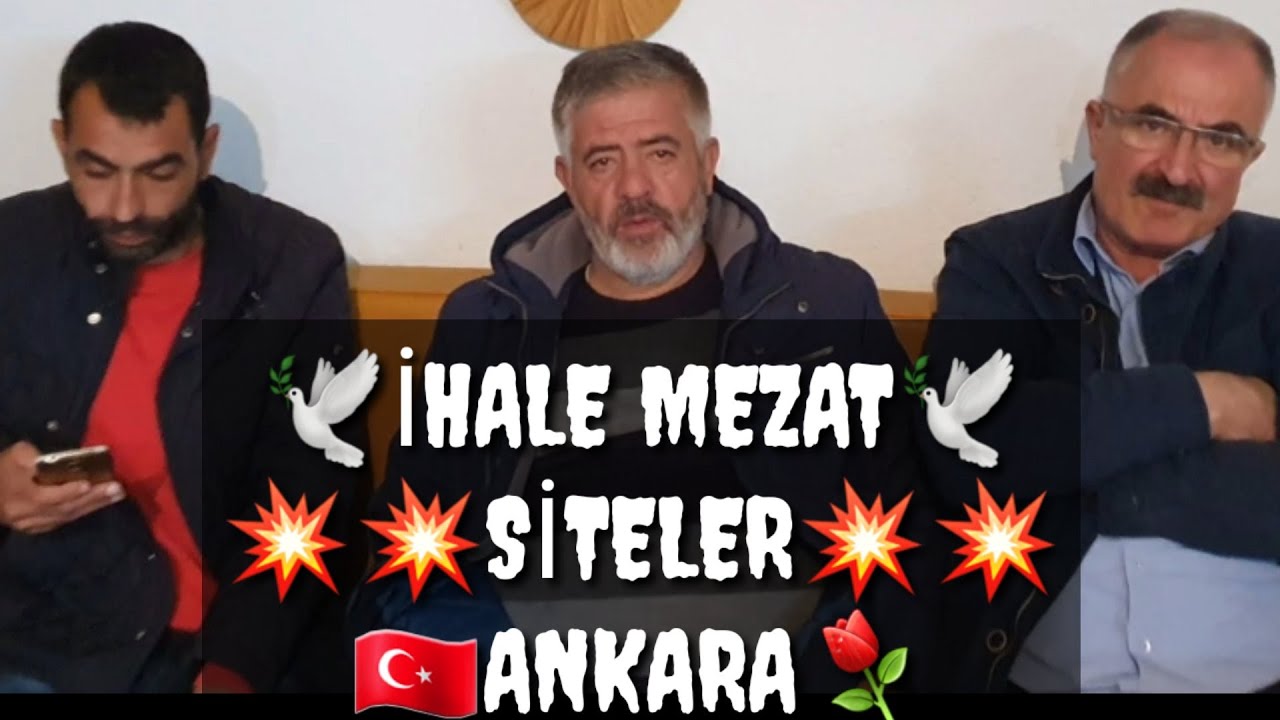 TAKLACI GÜVERCİN PLAY BIRD TENDER MEZAT AYDIN ​​ATAMAN SİTELER ANKARA