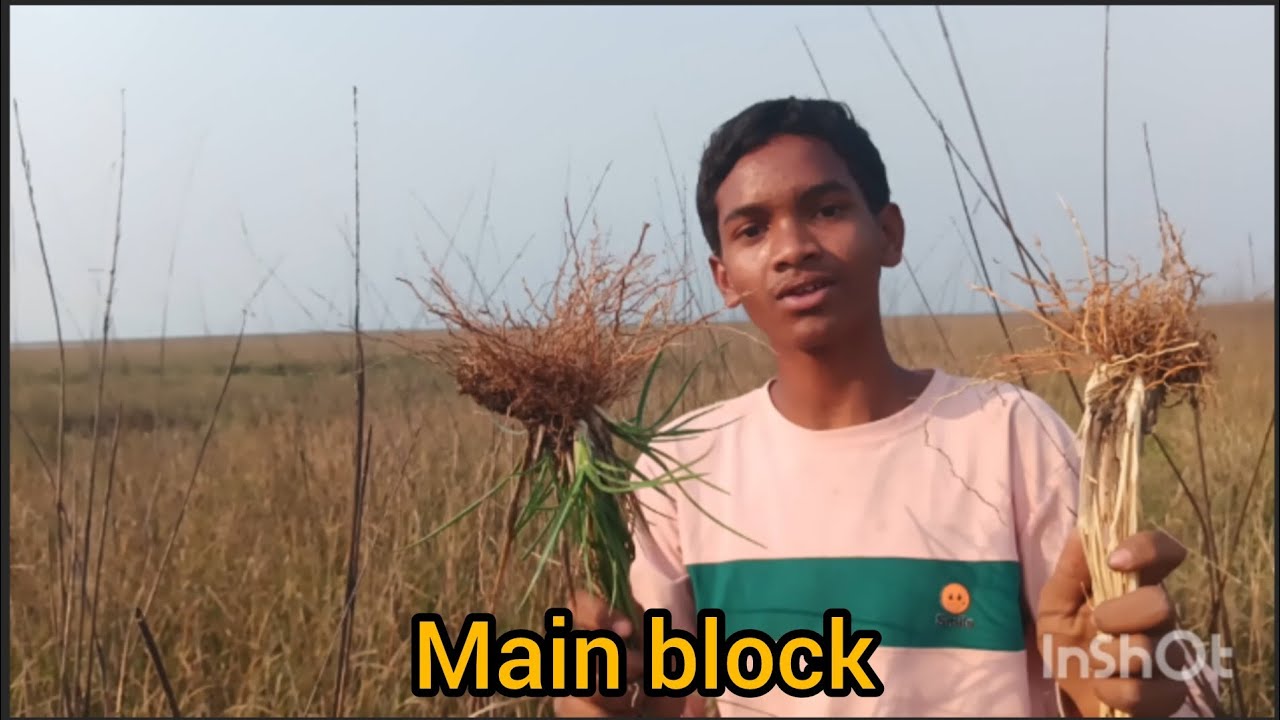 Main block video #loryviralvideo #viralvideo #ytstudioes #viralmusic #trend #newtrend 