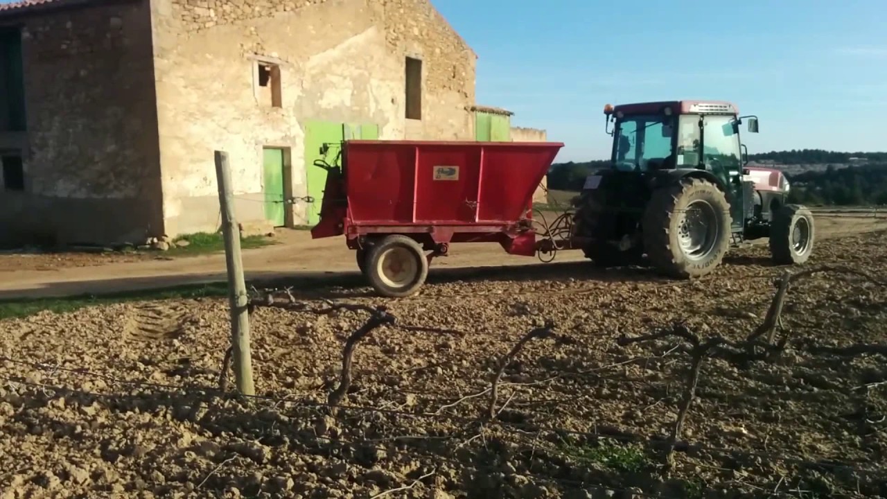 Cubiertas vegetales y abonados en vi&ntilde;a biol&oacute;gica