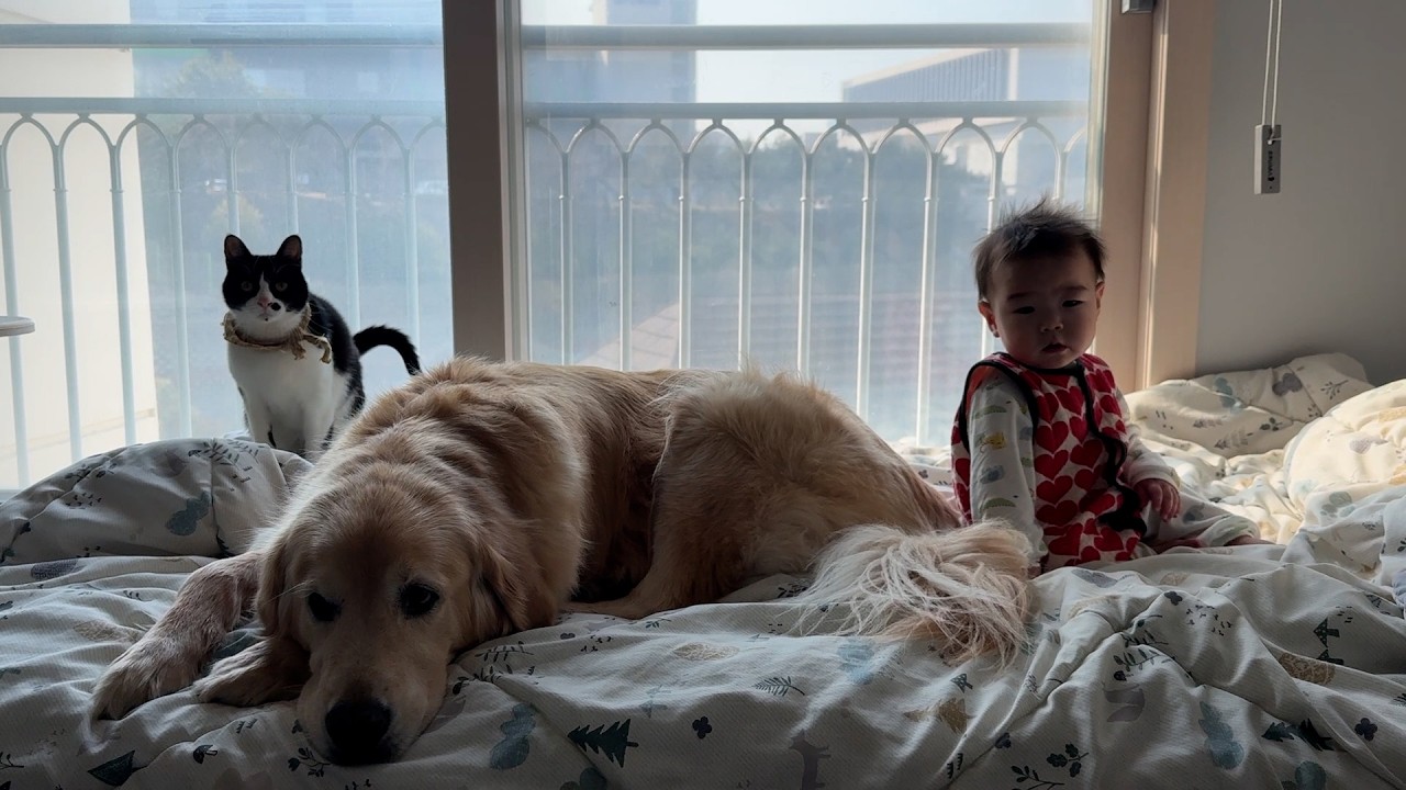 태생은 다르지만 우리는 삼형제ㅋㅋ