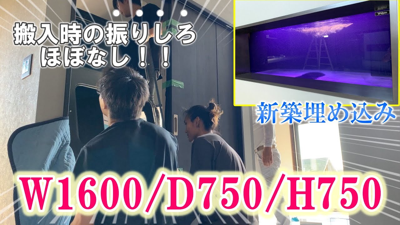 【水槽設置シリーズ】ホンマに入る！？激ムズ水槽設置in滋賀県