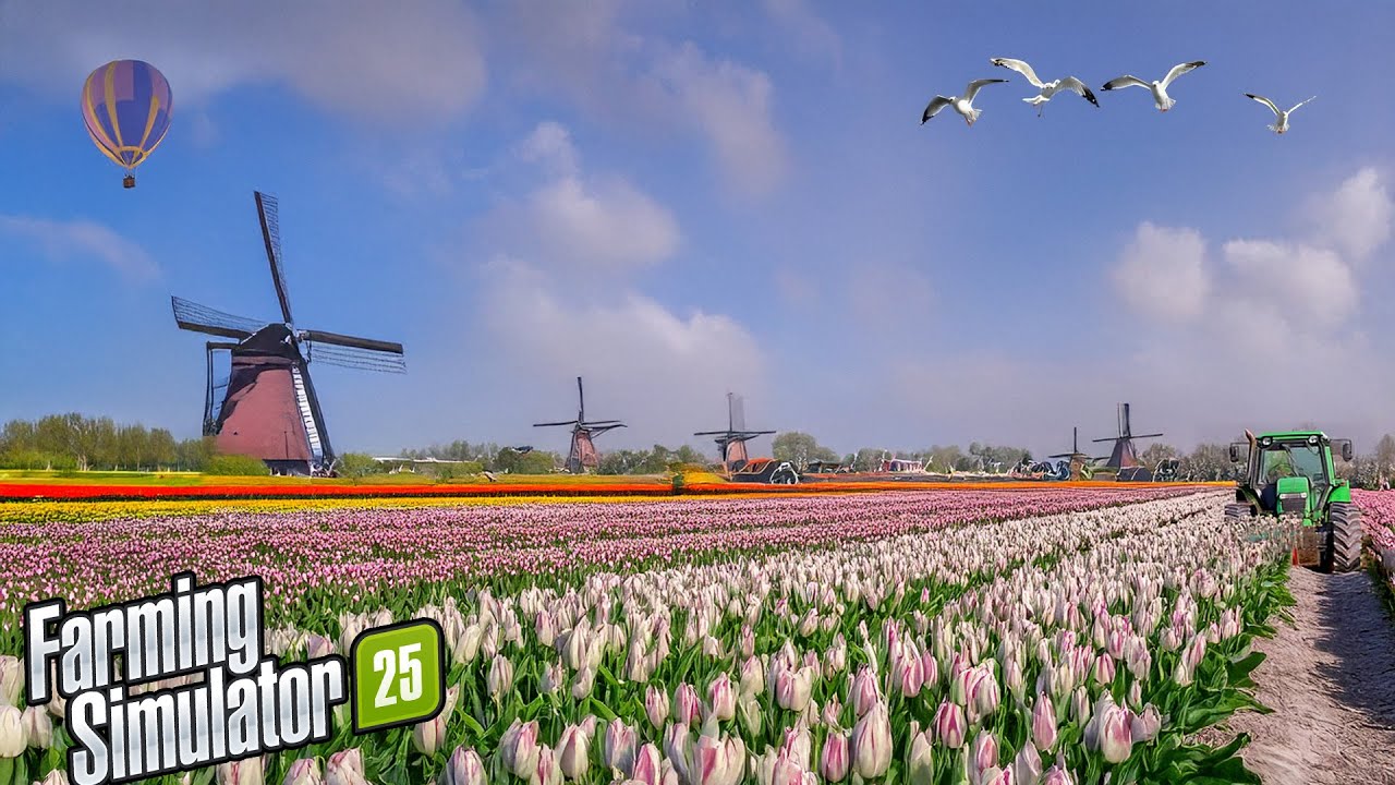 Are we moving to the Netherlands?