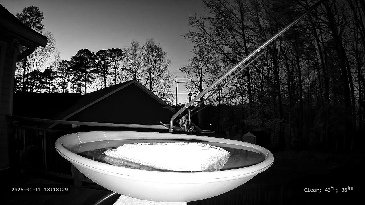 Deck Cam - Pre-Spring Camera Test