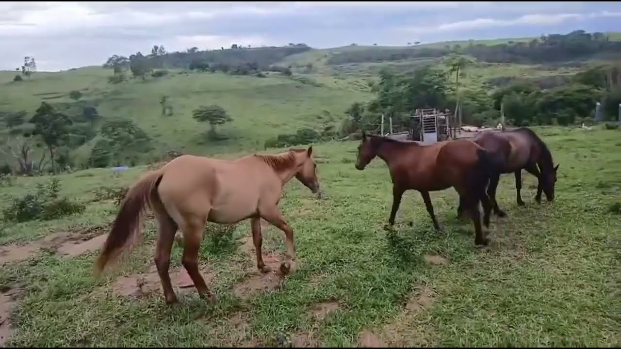 TROPA AQUI DO SÍTIO!!!