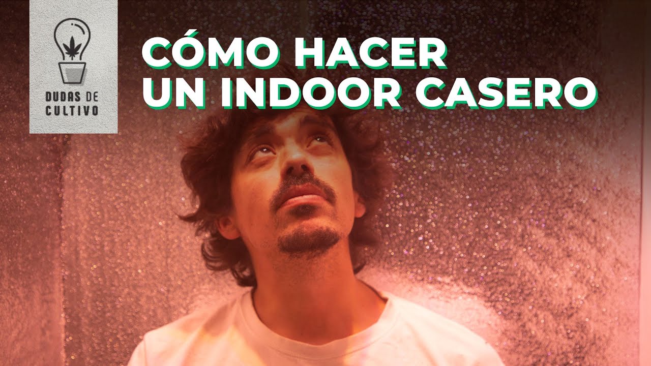 C&Oacute;MO CONVERTIR TU ARMARIO EN UNA CARPA DE CULTIVO