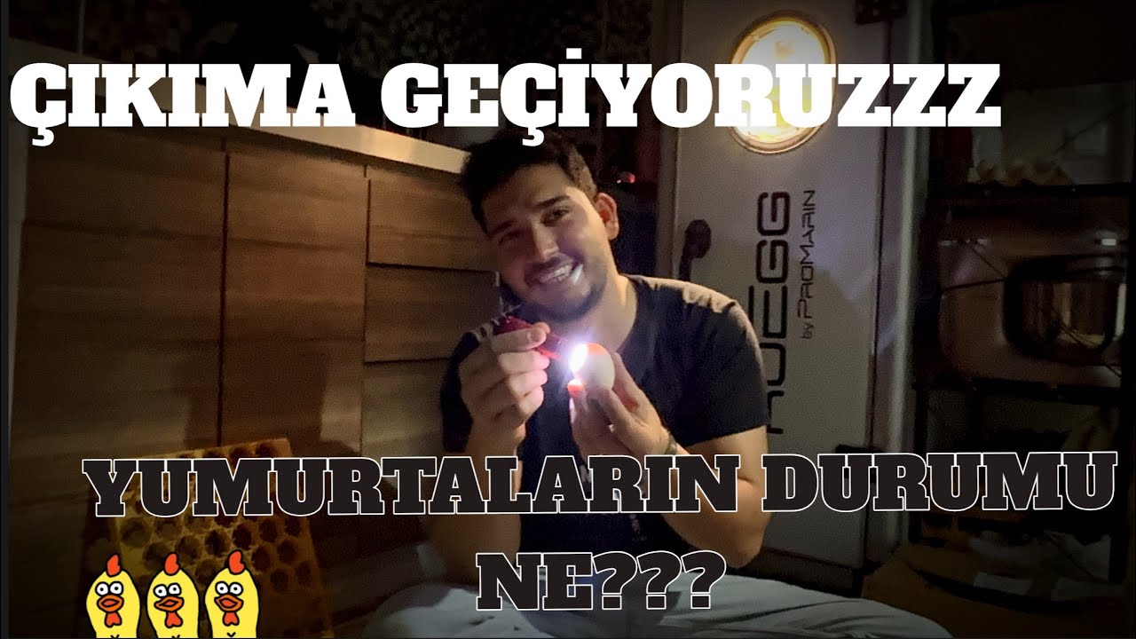 Toplu çıkım alıyoruz/Dolu boş kontrolü yapıldı sonuçlar şaşırtıcı