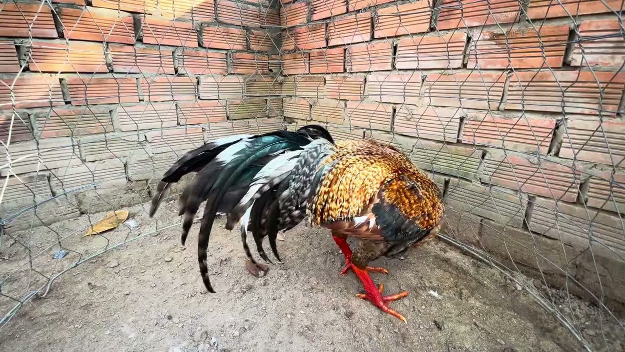 Tốp 5 bé từ 1t8-3t @762.8383.34