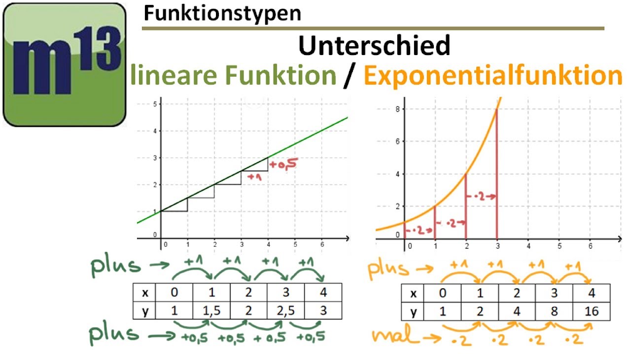 Unterschied Lineare Funktion Exponentialfunktion