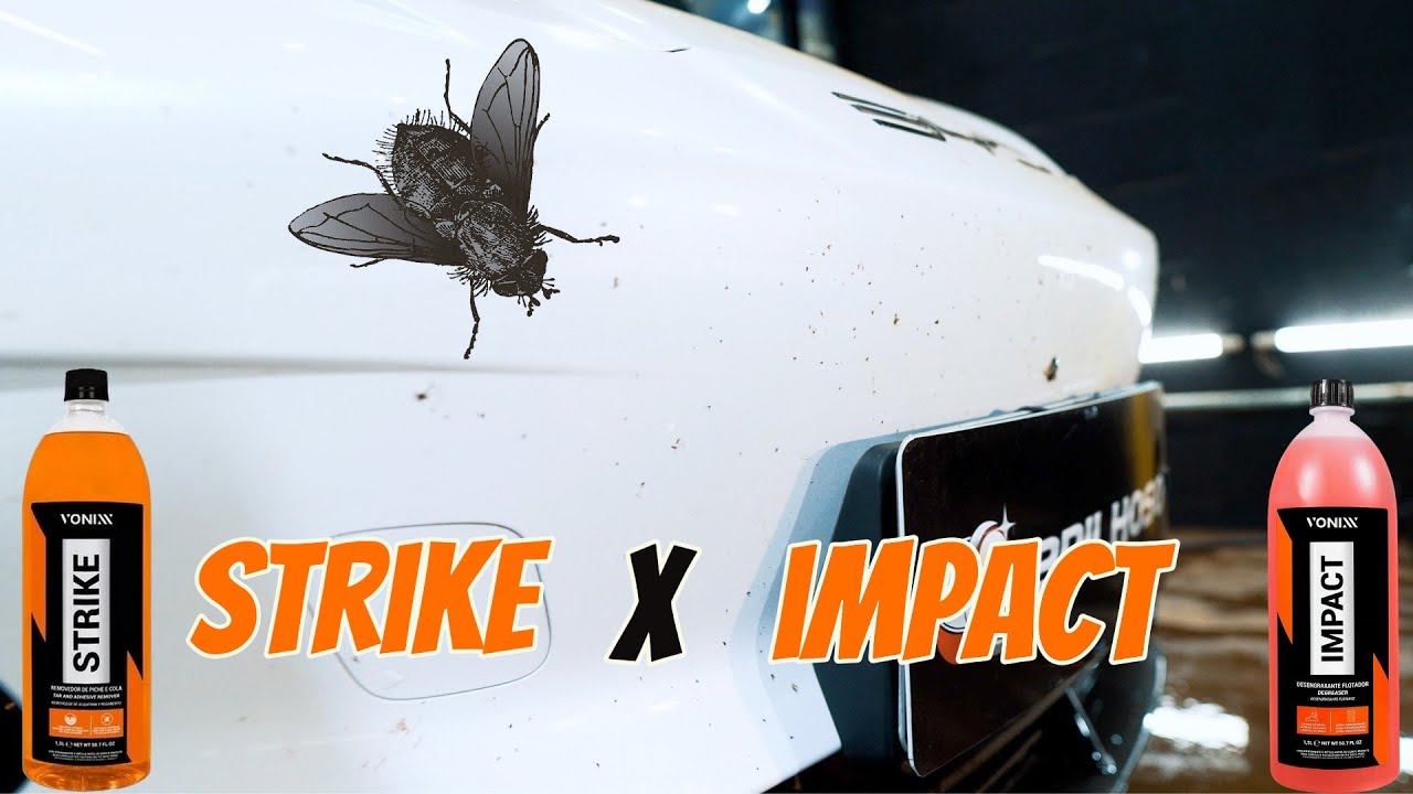 COMO REMOVER INSETOS GRUDADOS NO CARRO