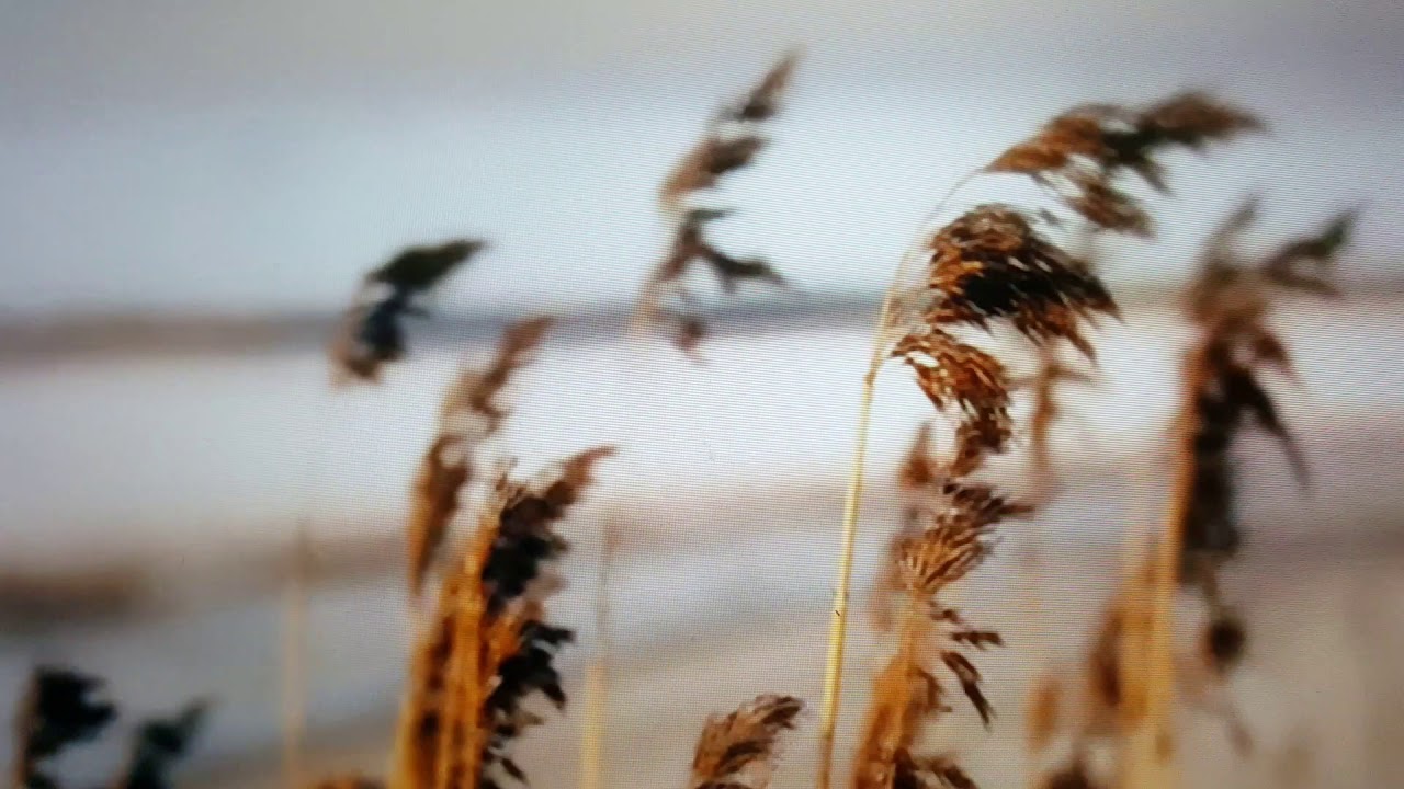 Вот что значит любить!  Рассказ