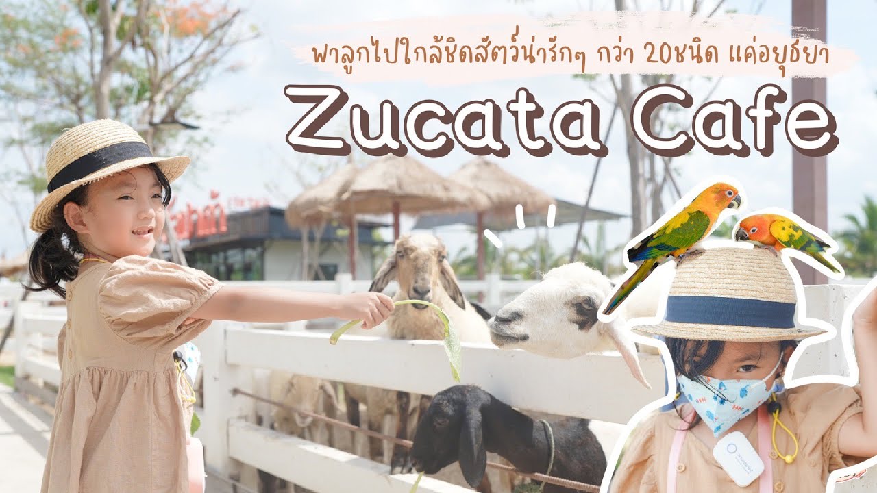 Zucata Cafe' คาเฟ่สวนสัตว์ สัตว์เยอะมาก อยู่แค่อยุธยานี่เอง l Little Ing Family