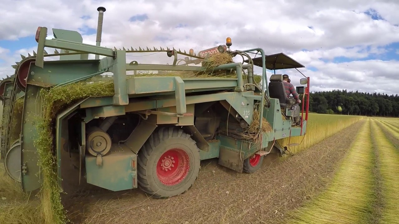 [GoPro] Arrachage du lin 2017 en Normandie