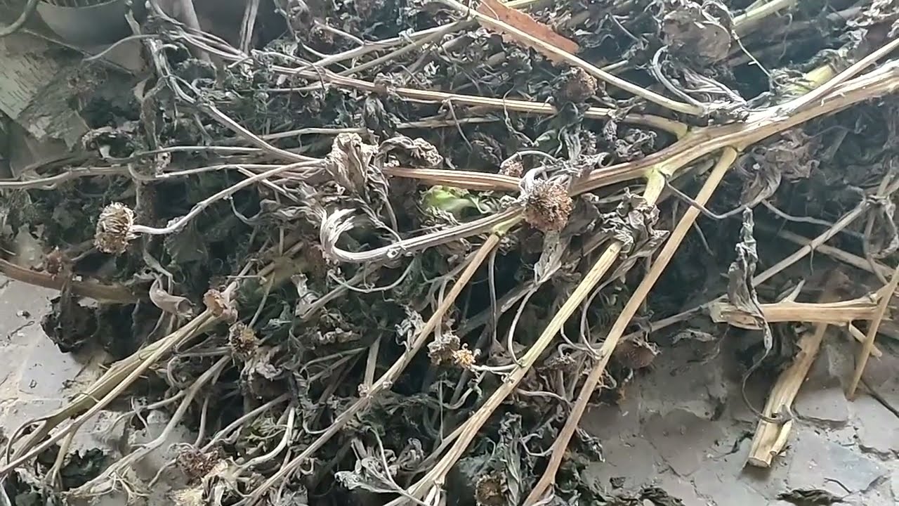 Получение KOH для нужд глазурной химии.