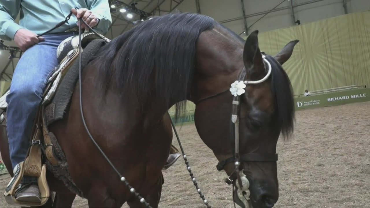 Elegance and athleticism at Global Champions Arabians Tour