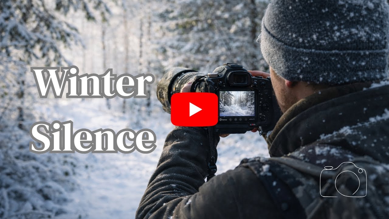 Relaxing Nature Photography 4K HDR 120 FPS | Winter Silence