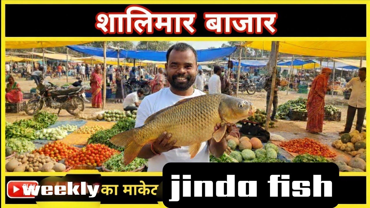 🐠Jinda Golden fish 🐠|Shalimar Bazaar|Saptahik Market| full vlogs