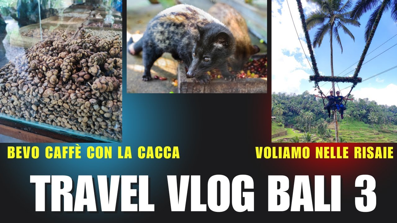 A Bali bevo il caffè cagato più caro del mondo, volo sulle risaie e tempio della purificazione