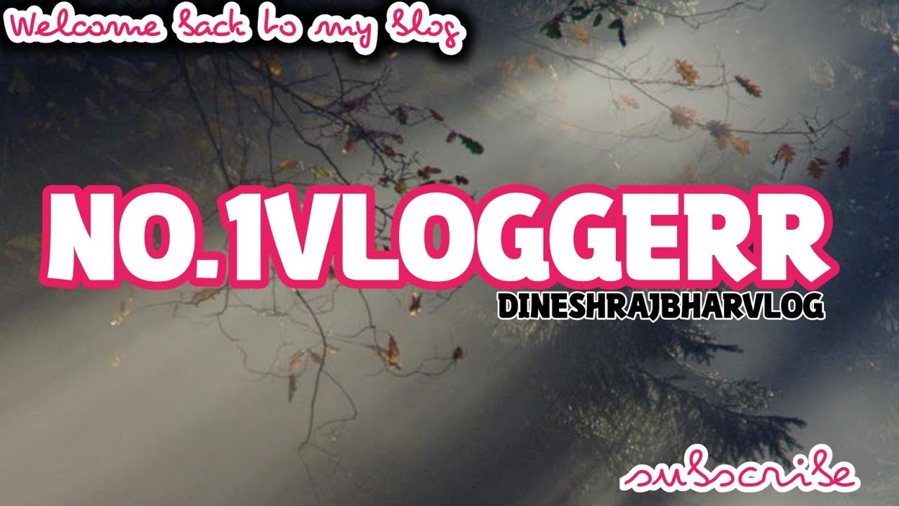 DINESHRAJBHARVLOG is live