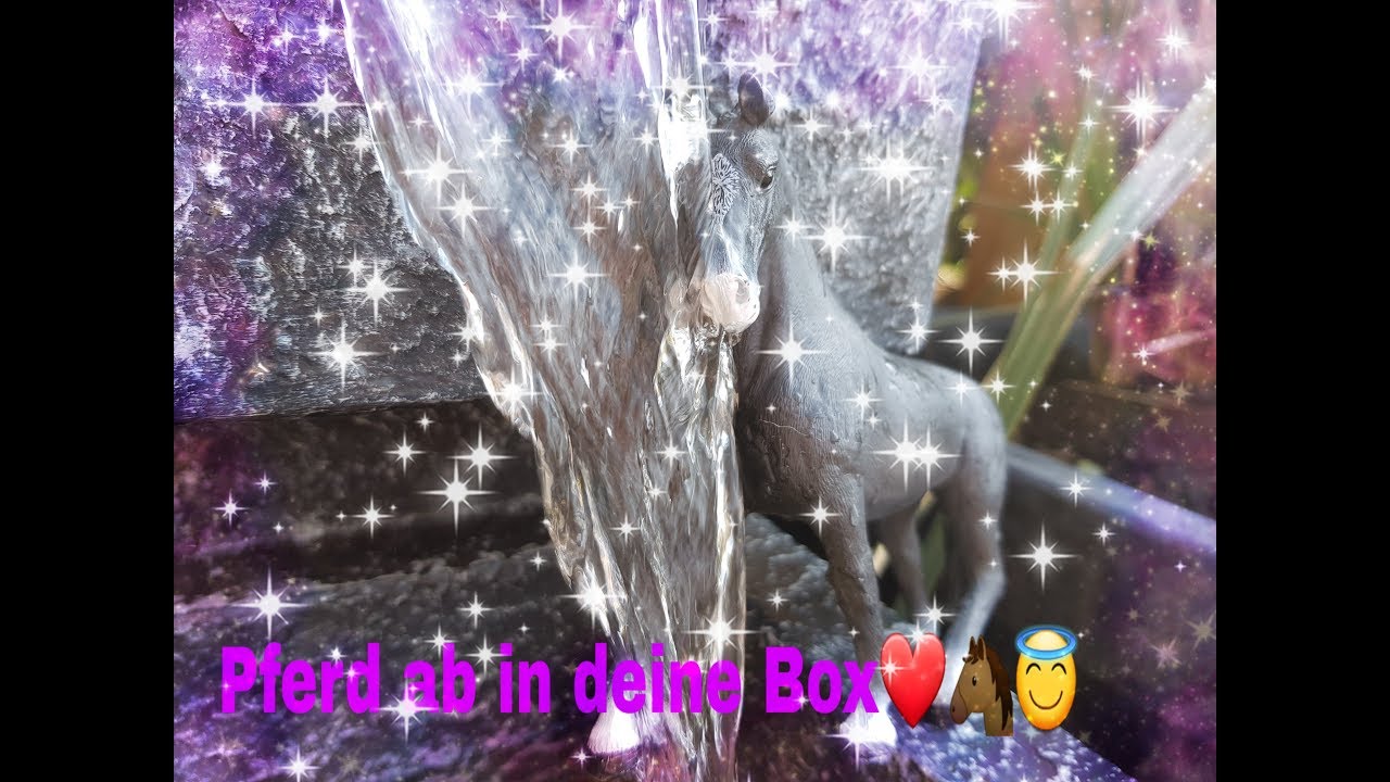 Pferd ab in deine Box❤❤❤❤🐴🐴🐴🦄🦄🦄