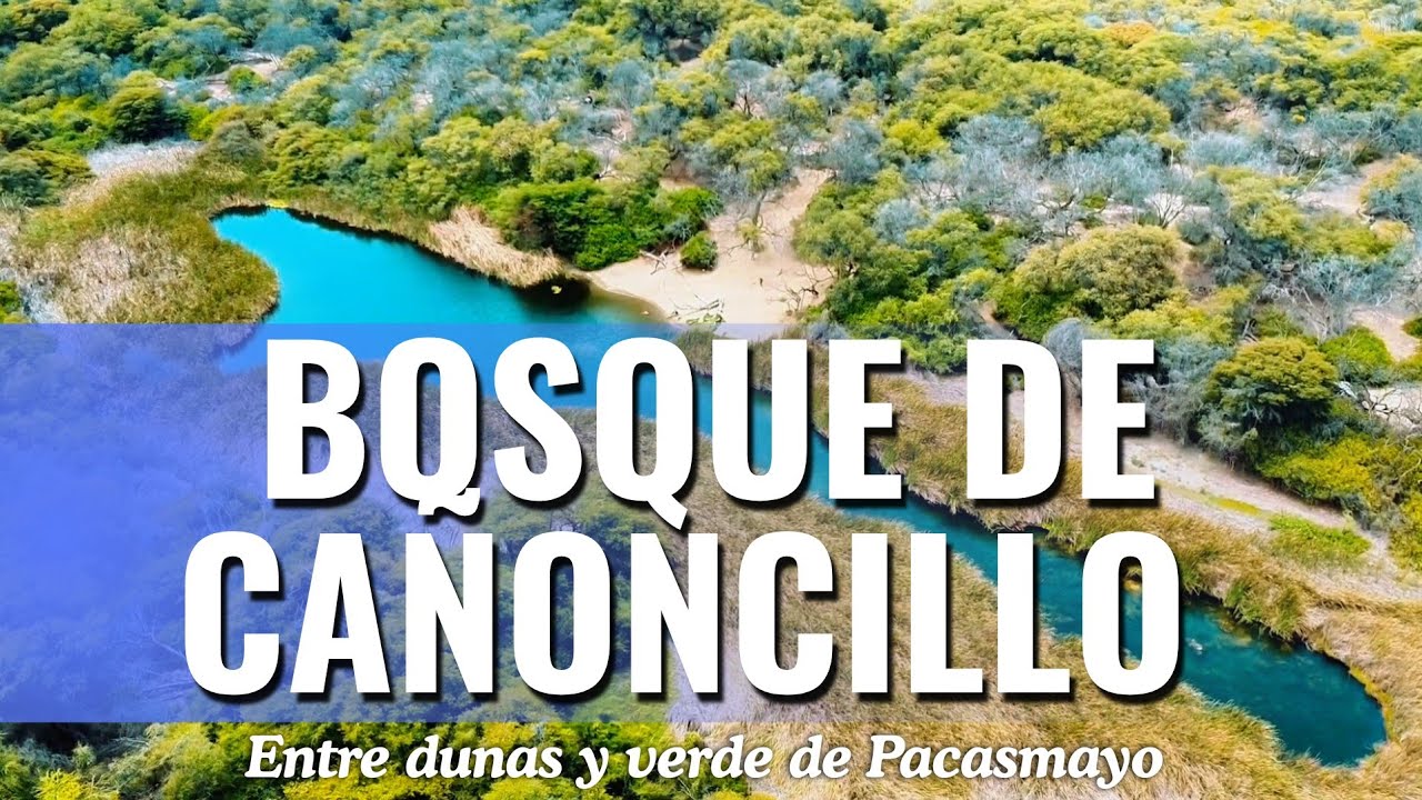 ENTRE DUNAS Y VERDE: EL MÁGICO BOSQUE DE CAÑONCILLO DE PACASMAYO. 
