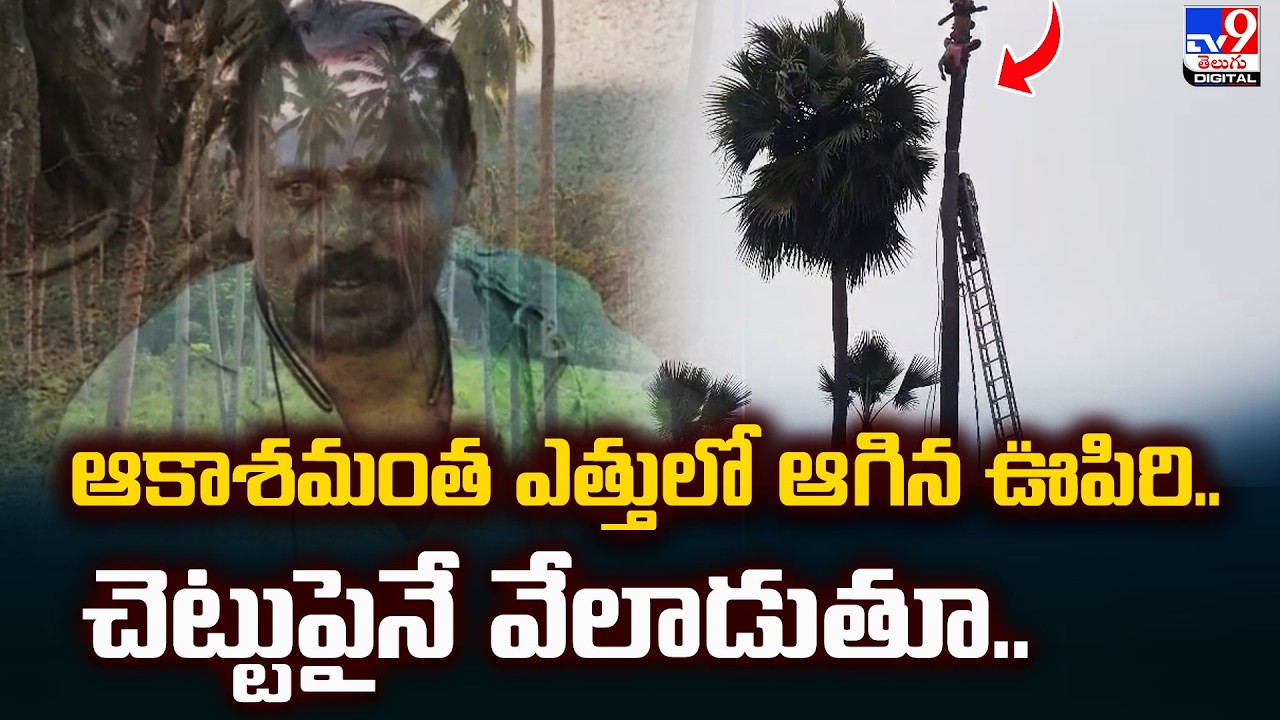 ఆకాశమంత ఎత్తులో ఆగిన ఊపిరి..చెట్టుపైనే వేలాడుతూ.. | Rajanna Sircilla - TV9