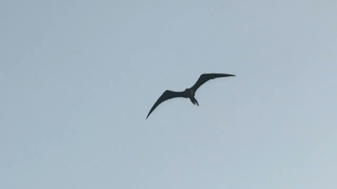 Sunset Fishing Family 
