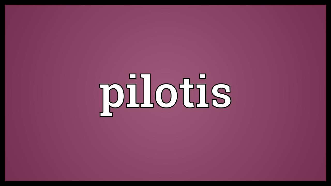 Pilotis Meaning