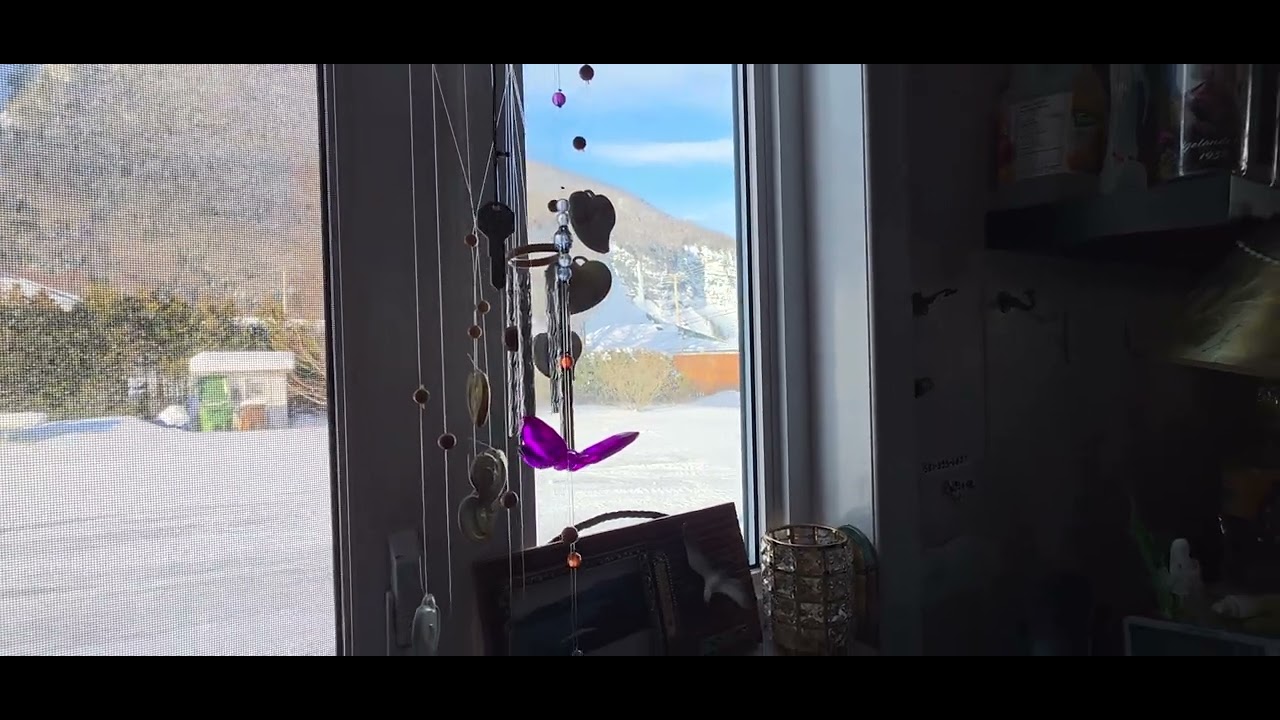 Quand le pape a fait sa tournée✈️🛩🌪