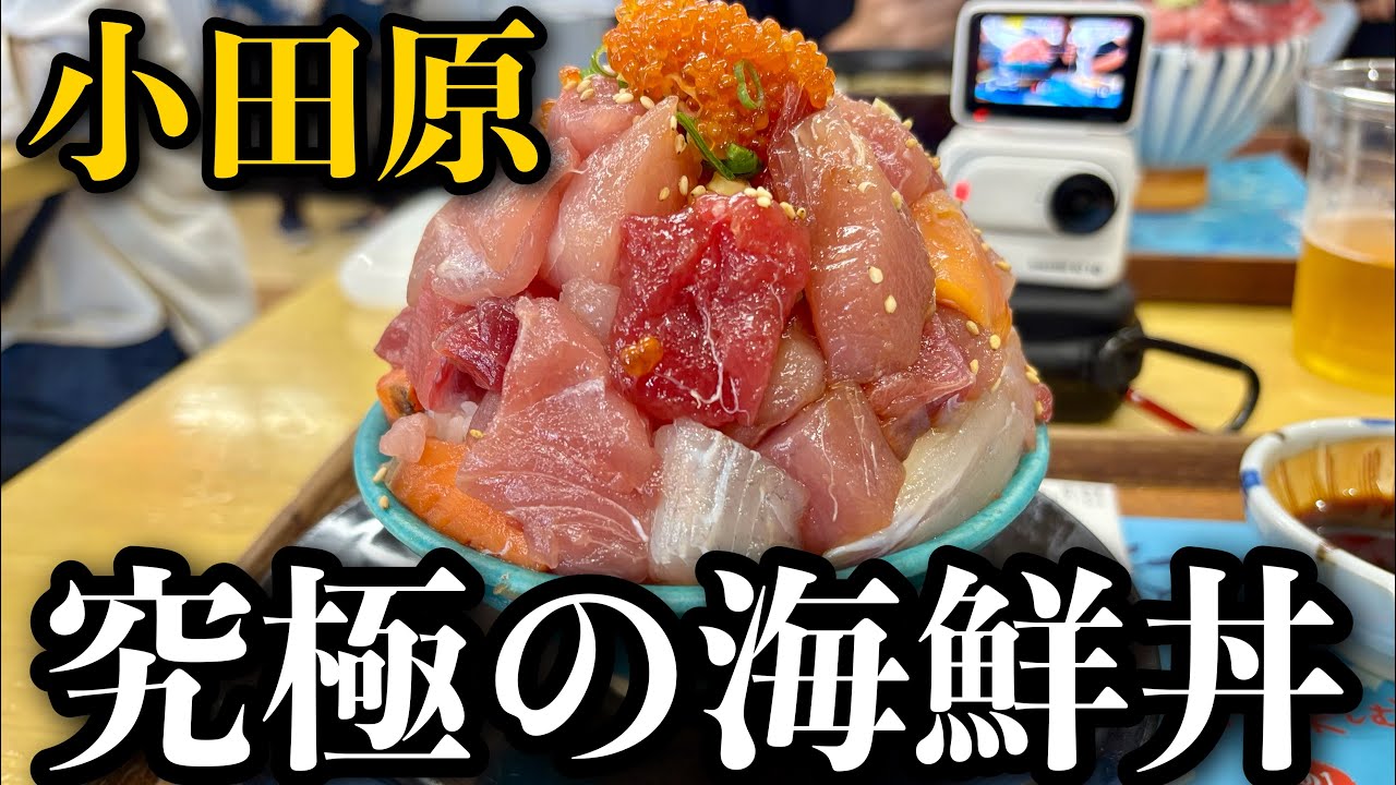 【究極】小田原で(自分)史上最高の海鮮丼に出会いました【とと丸食堂】